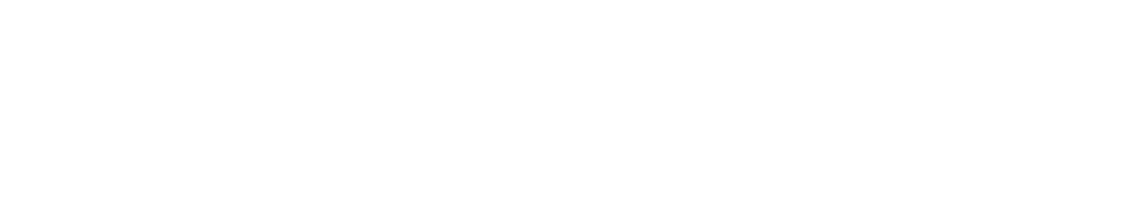 Lake Stevens Roofing Logo White